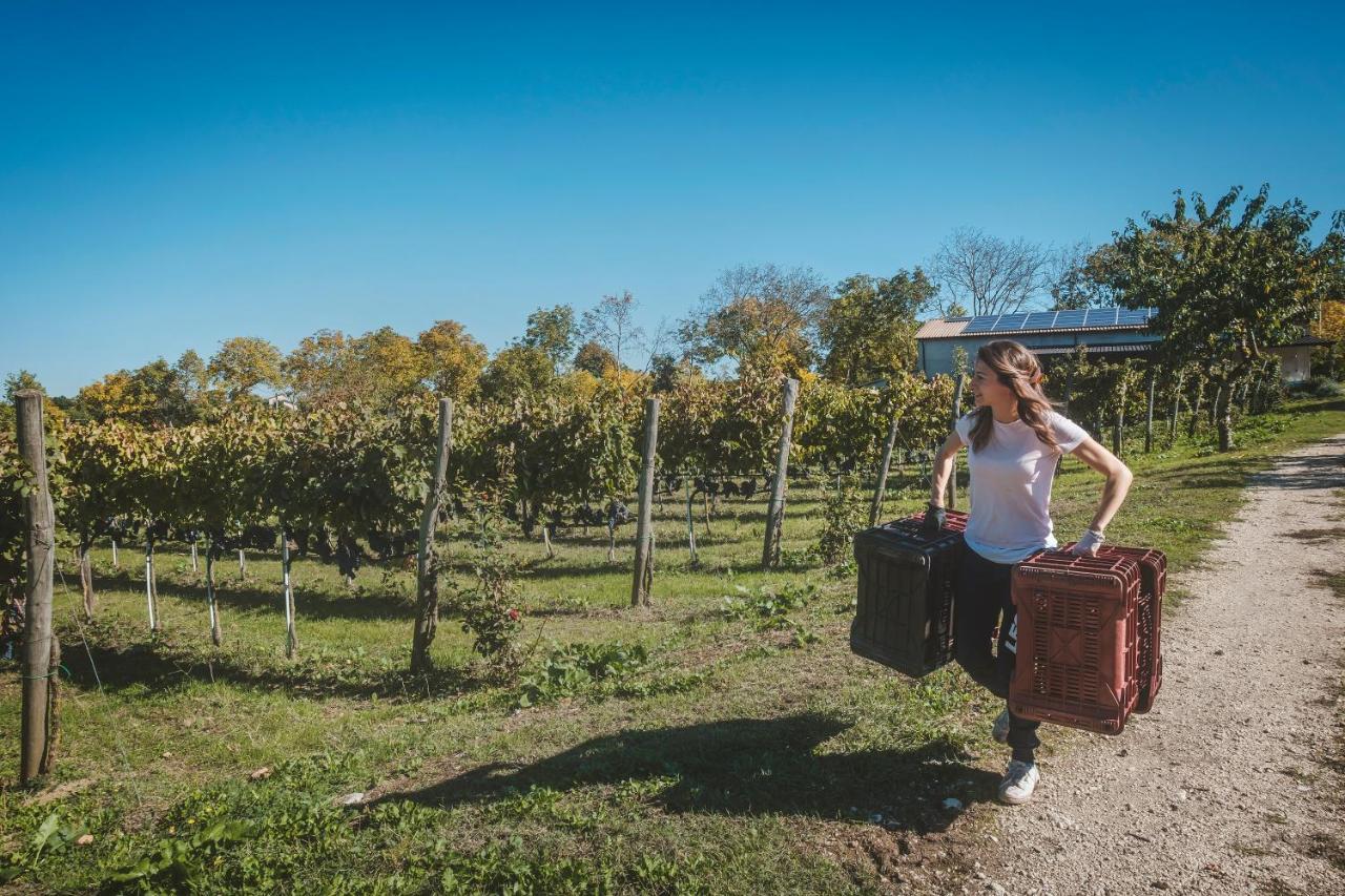 Farm stay Bellofatto